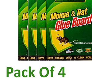 Mouse Book good Quality
